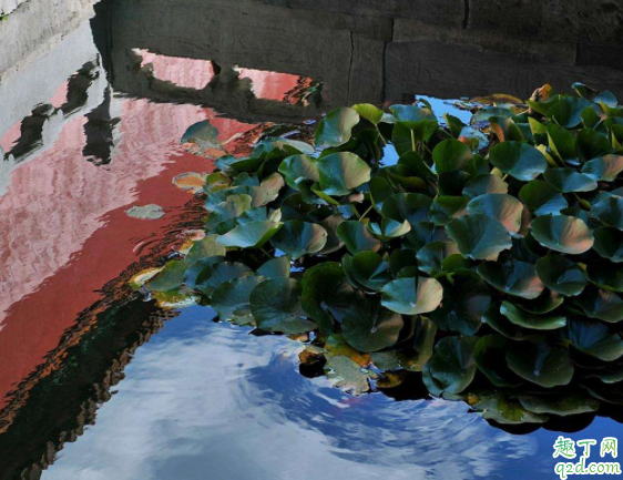 2020年立夏日子可结婚吗 5月5日立夏搬家好吗2020