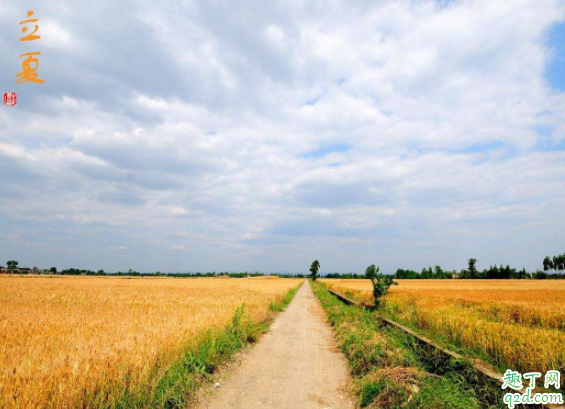 2020年立夏日子可结婚吗 5月5日立夏搬家好吗2020