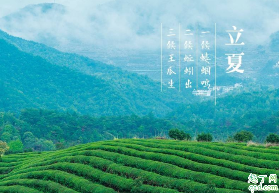 2020年立夏日子可结婚吗 5月5日立夏搬家好吗2020