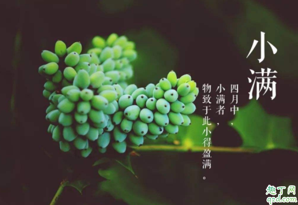 2020几点几分小满 2020小满适合结婚吗