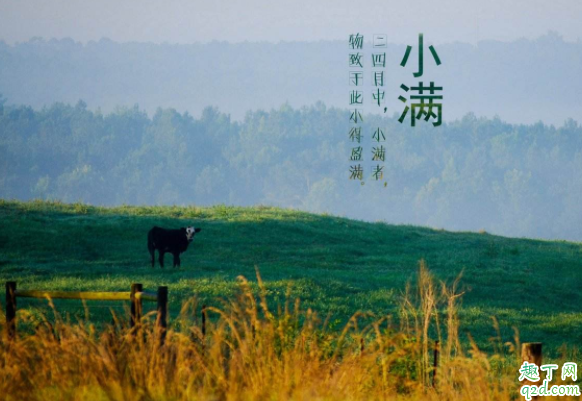 2020几点几分小满 2020小满适合结婚吗