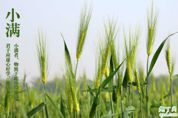 2020几点几分小满 2020小满适合结婚吗