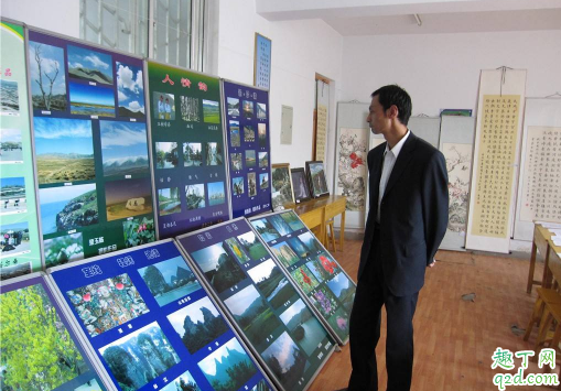 教师节能送老师盆栽吗 哪些植物送老师的寓意好