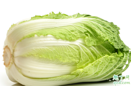 白菜喷醋可以驱虫是真的吗 白菜喷醋提高产量有什么说法