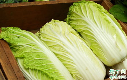 白菜喷醋可以驱虫是真的吗 白菜喷醋提高产量有什么说法