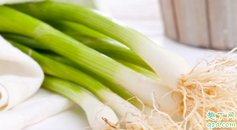 大葱是白露收好还是秋分收好 2019秋分适合种植的蔬菜推荐