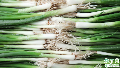大葱是白露收好还是秋分收好 2019秋分适合种植的蔬菜推荐