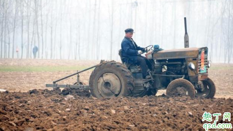 种小麦要深耕土壤吗 小麦免耕播种好不好