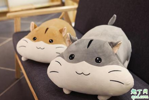 把仓鼠打一顿他会记仇吗 刚养仓鼠怎么训练