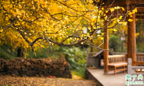 大理到腾冲客车要坐多久 腾冲到银杏村坐车方便吗