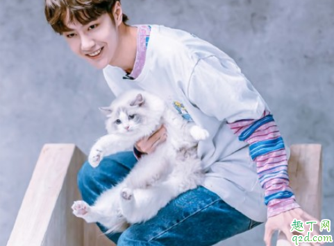 女生最欣赏的男生是什么样子的 女生欣赏的男生类型