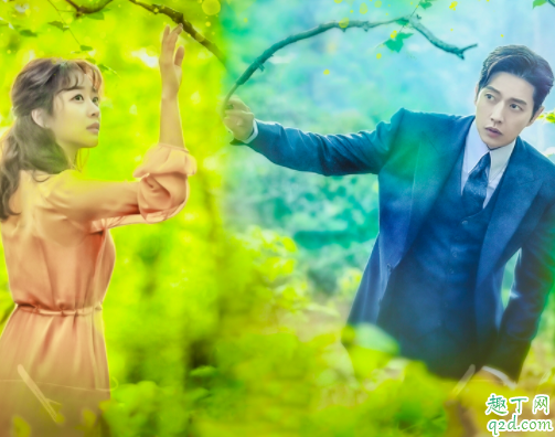 韩剧Forest是喜剧还是悲剧 韩剧Forest免费观看百度云资源