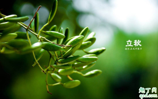 2020什么时候立秋几点几分 2020年的立秋是早秋还是晚秋