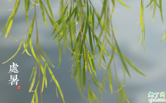 2020什么时候处暑几点几分 什么叫处暑不出头割谷喂老牛