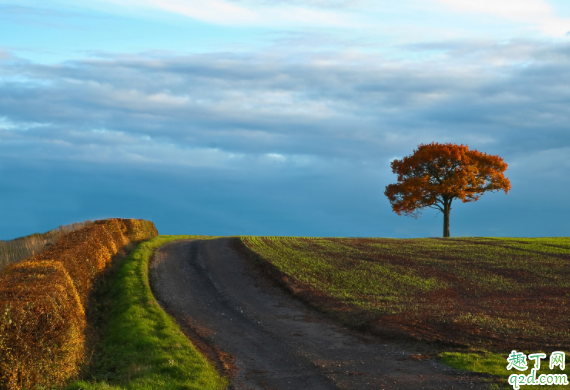 2020什么时候处暑几点几分 什么叫处暑不出头割谷喂老牛