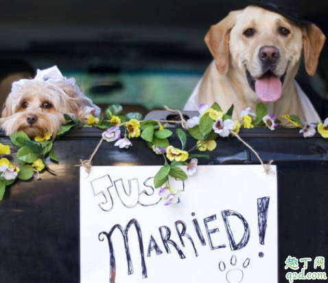 2020年端午节能结婚吗 2020农历五月哪天结婚好