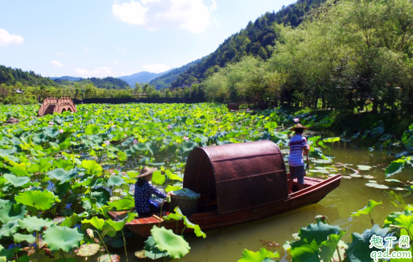 2020年什么时候大暑 2020年大暑是几伏天