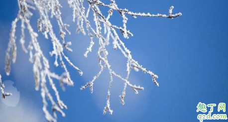 小雪不见雪大雪满天飞是什么意思 小雪不见雪大雪满天飞有什么含义