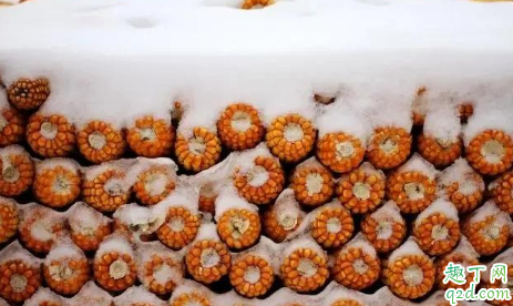 小雪不见雪大雪满天飞是什么意思 小雪不见雪大雪满天飞有什么含义