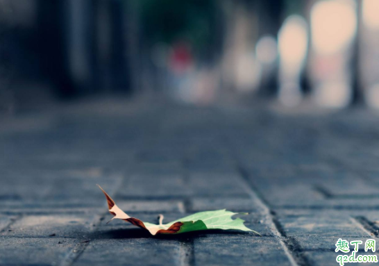 2020年的立秋是上午还是下午 2020立秋适合结婚吗