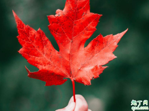 2020年的立秋是上午还是下午 2020立秋适合结婚吗