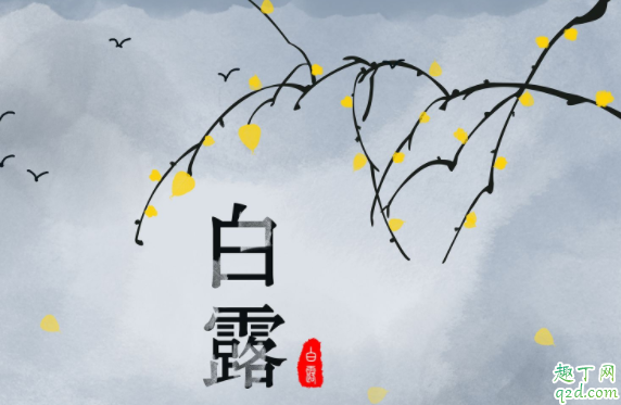 2020年白露是属于七月还是八月 2020白露节气是几点几分开始