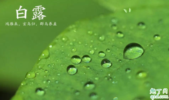 2020白露当天可以结婚吗 2020白露前后能结婚吗