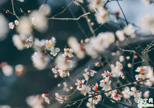 2020年腊月初九是哪一天 2020年腊月初九宜忌