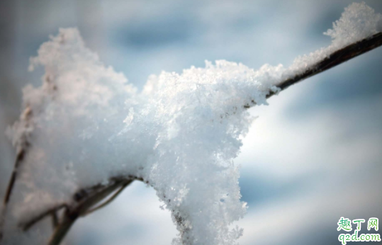 2020年立冬时间几点几分 2020立冬当天可以结婚吗