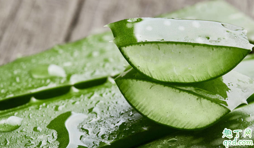 用鲜芦荟涂脸能行不 鲜芦荟使用前怎么处理