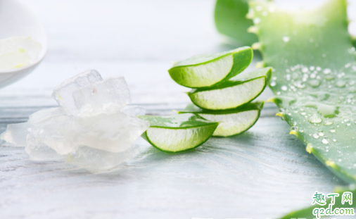 用鲜芦荟涂脸能行不 鲜芦荟使用前怎么处理
