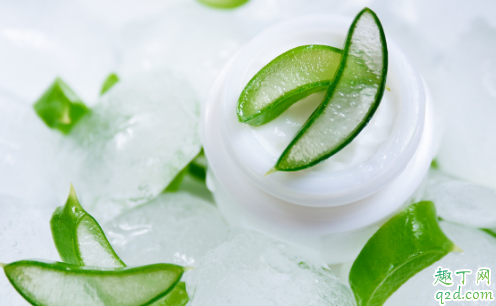 用鲜芦荟涂脸能行不 鲜芦荟使用前怎么处理