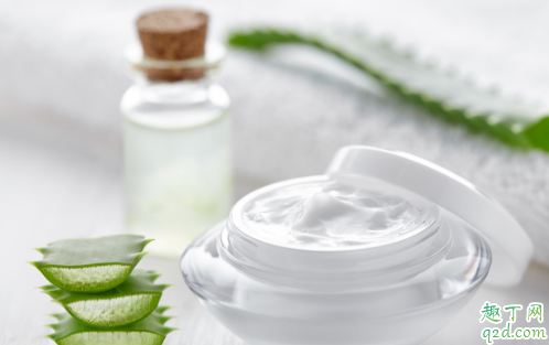 芦荟能不能放在阳台上养 芦荟放阳台上需注意哪些事项