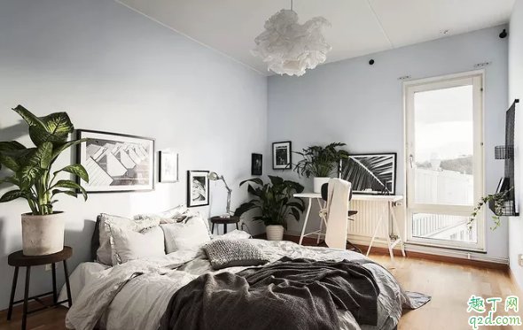 卧室里面适合放绿萝吗 卧室适合放什么绿植