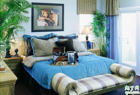 卧室里面适合放绿萝吗 卧室适合放什么绿植