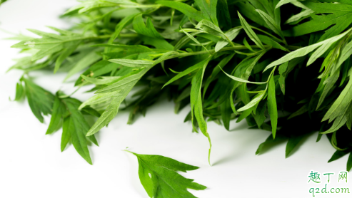 艾叶艾草是同一种植物吗 艾草和艾叶怎么区分