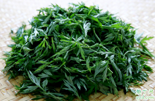 艾叶艾草是同一种植物吗 艾草和艾叶怎么区分