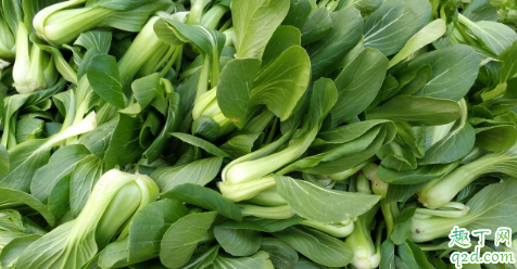 油菜红叶是不是病 油菜红叶该怎么防治