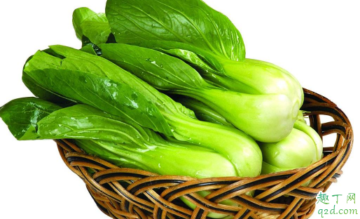 油菜什么品种产量高 秋种怎样选择油菜种