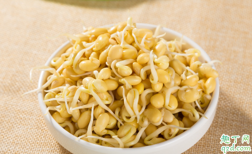 怎样发绿豆芽不烂 泡发的豆芽长不粗是什么情况