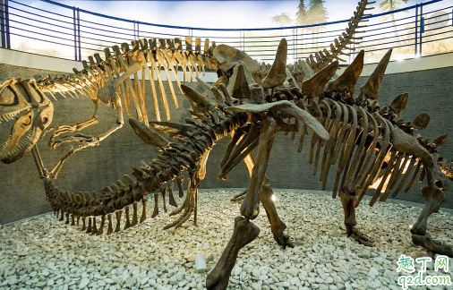 北京自然博物馆没有身份证能进吗 北京自然博物馆讲解多少钱