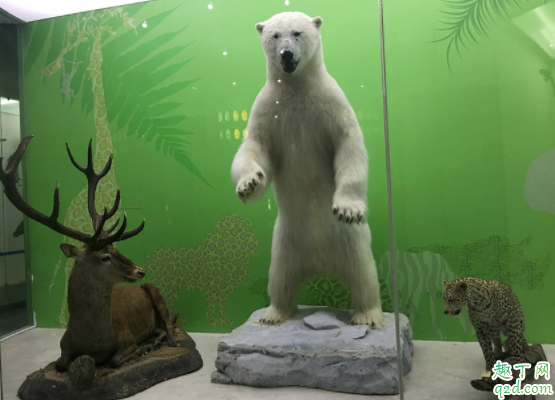 北京自然博物馆可以玩多长时间 北京自然博物馆怎么逛