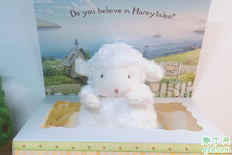 bunnies羊正版多少钱 bunnies羊怎么火的