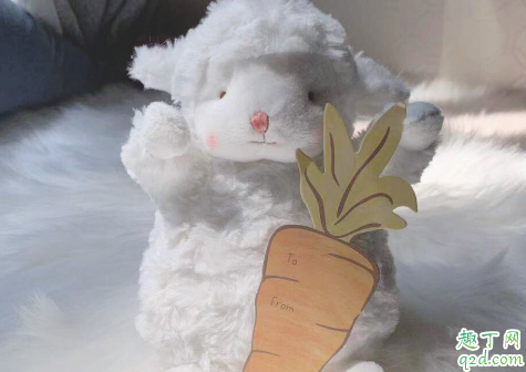 bunnies羊真假有什么区别 网红小羊玩偶真假对比图