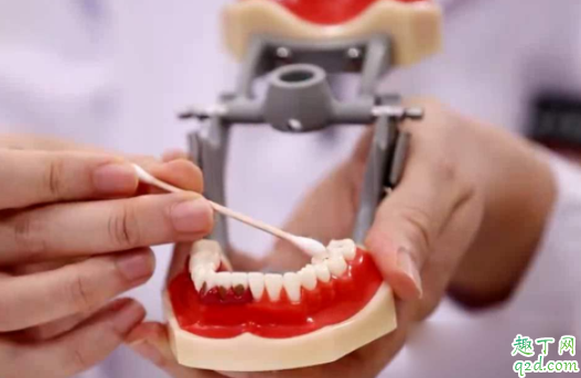 宝宝出牙会有低烧吗 小孩先长上牙还是下牙