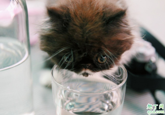 女生喝你喝过的水说明什么 女生喝我喝过的水是喜欢我吗