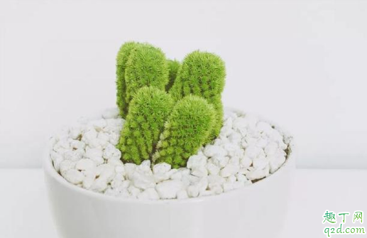 为什么有的人屁大点事都要发朋友圈 屁大点事都发朋友圈是什么心理