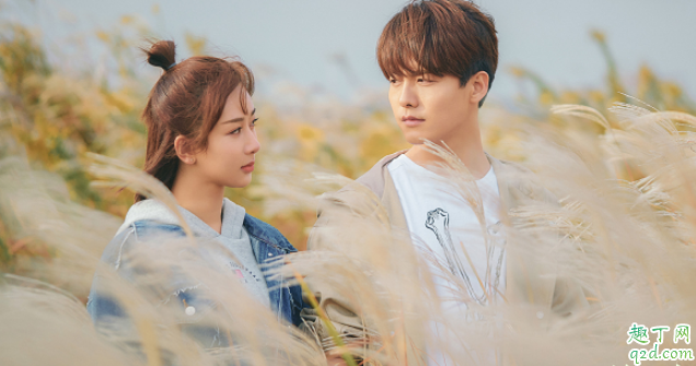 我的莫格利男孩何时播出在哪看 我的莫格利男孩具体更新时间