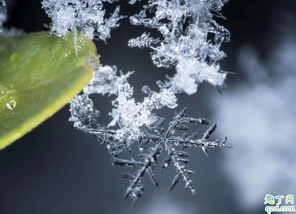 2020小雪是农历哪一天 2020年小雪什么时候开始几点几分