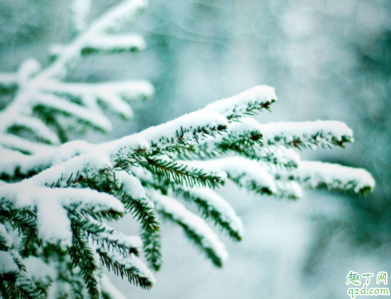 2020小雪能不能领结婚证 2020小雪可以结婚摆酒席吗